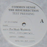 Common - The Resurrection Instrumentals (Test Pressing)