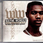 Wayne Wonder -  Inna Bashment Stylee: The Roots Of An Urban Warrior