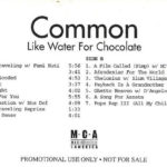 Common - Like Water For Chocolate