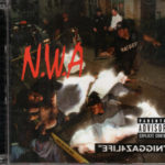 N.W.A. - Efil4zaggin