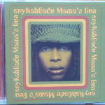 Erykah Badu - Mama's Gun