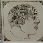 The Roots - Phrenology